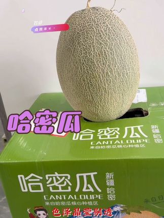 #新鲜采摘 #脆甜多汁 #优质水果 #新疆哈密瓜