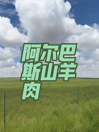牧区吃羊肉的一天!#阿尔巴斯山羊肉 #草原风光 #大草原美好生活