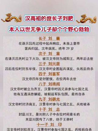 刘肥十三个儿子结局#历史影像 #人物#我家空调成精了 #向往的生活9这样