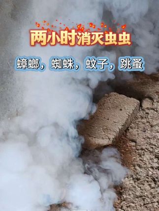 #杀虫烟剂 #蟑螂#蚊子#苍蝇#小飞虫 怎样消灭更彻底