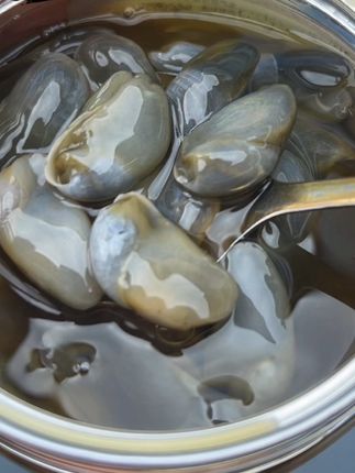 #今日分享 #爱了爱了 #好吃到停不下来 #黄泥螺醉泥螺