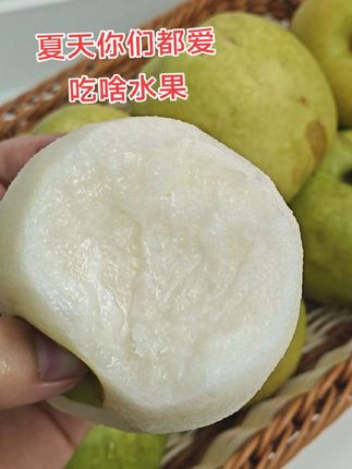 真不错,又解渴又润喉,好吃不贵经济实惠#翠冠梨 #砀山酥梨 #翠玉梨 #兴乡真选拼拼