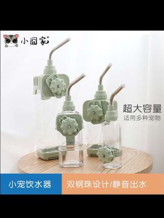 #兔子 #萌宠日常记录 #萌宠 #小兔兔??