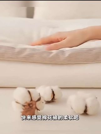 無印良品新疆棉花被子母被二合一单人学生春秋被芯冬被棉被褥棉絮 新疆棉花被子冬被棉被全棉冬季加厚保暖棉花被芯单人棉被 #新疆棉花被 #棉花被