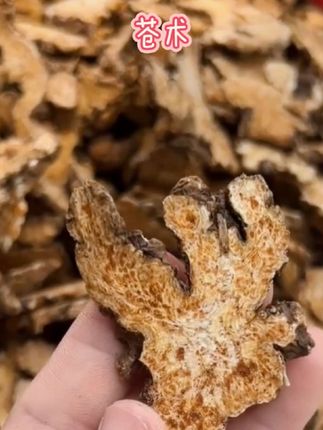 苍术正宗精选 净重250克苍术大片可搭配黄柏煮水泡茶喝制作香薰#苍术#纯天然无添加 #精选#真材实料 #好东西一起分享