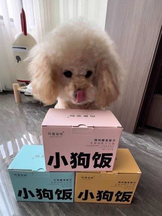 我家小狗超爱吃的湿粮狗饭,肉含量高达85%,一餐一包,干净又卫生,家里有老年犬和挑食小狗的一定要试试。 #小狗饭 #湿粮狗饭 #狗粮#萌宠好物 #向善