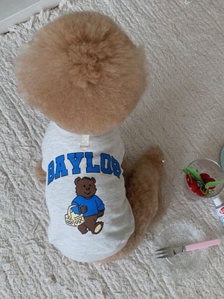 大狗宠物亲子装秋冬柯基韩版狗狗猫咪泰迪衣服用品比熊狗狗衣服#高品质童装 #童装 #儿童穿搭 #狗狗衣服 #宠物用品