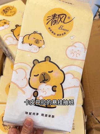 这价直接薅到手十大提清风挂抽!趁划算! 用纸大户赶紧囤起来慢慢用!#纸巾 #清风抽纸 #悬挂抽纸 #家用抽纸推荐 #超划算超便宜