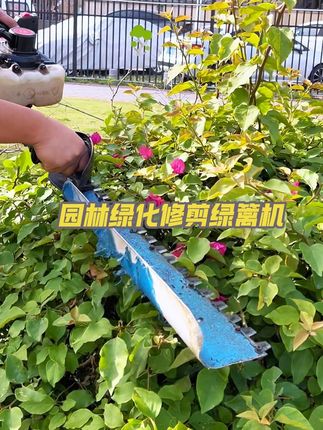 园林绿化修剪绿篱机 茶树修剪绿篱机,园林绿化修剪,锋利如刃,瞬剪粗细枝桠,切口平整不卡顿,耐磨抗造耐损耗,茶园修垄、绿篱塑形、灌木精剪全适配,园林养护高效省心耐用#绿篱机 #园林工具 #修剪绿篱机#园林绿化修剪绿篱机