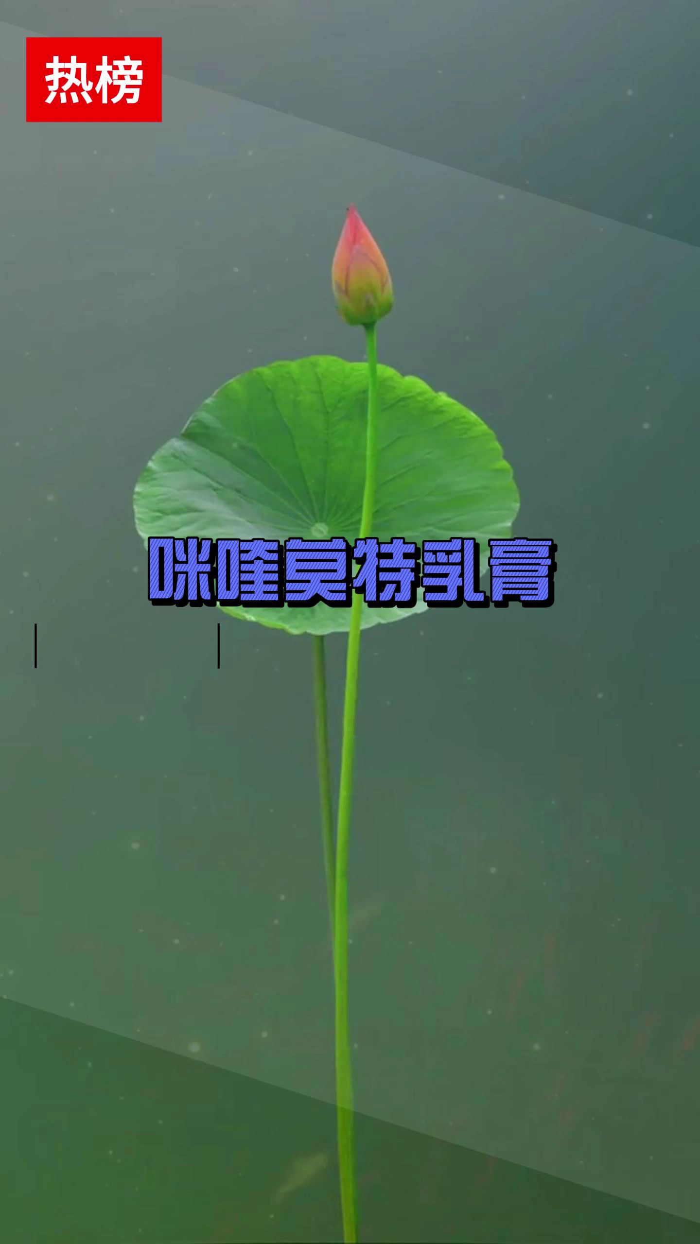 这三种都是HPV病毒感染的表现,别担心,医生教你一支药膏处理。 #寻常疣 #跖疣 #丝状疣 #HPV #咪喹莫特乳膏