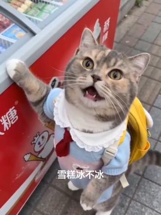 想吃冰淇淋啦#猫 #猫咪 #ai #萌宠#祝你马上成功马上发