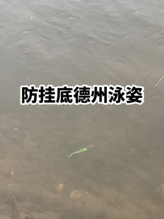 #路亚鳜鱼 #路亚斑鳜 #路亚翘嘴 #溪流路亚 #路亚假饵