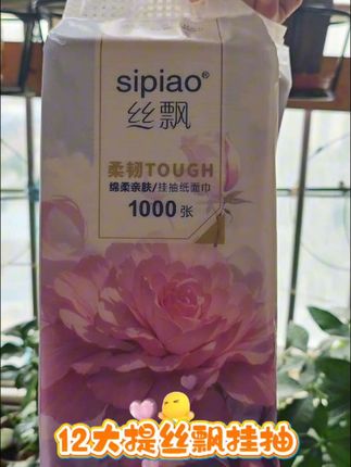 12大提丝飘悬挂式抽纸原生竹浆活动价超划算!用纸费的姐妹们快薅!#抽纸 #生活用纸 #超便宜超划算 #实用好物 #丝飘纸巾