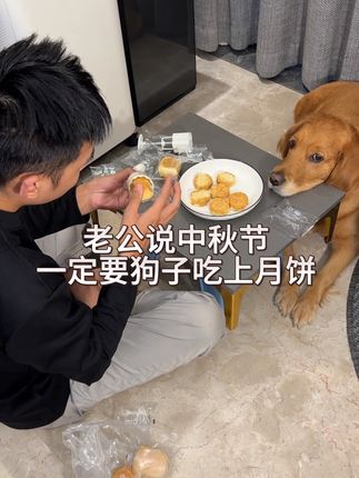 狗:这月饼咋一股面包味~@抖音小助手 #萌宠出道计划 #万万想不到 #月饼