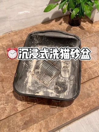 一直吃倔犟嘴巴家的生鲜主食包,没想到他们家猫砂盆清洗剂也这么牛,真的挖到宝藏了,#好物推荐🔥 #倔犟嘴巴 #猫砂盆清洗剂 #每日分享 #萌宠好物