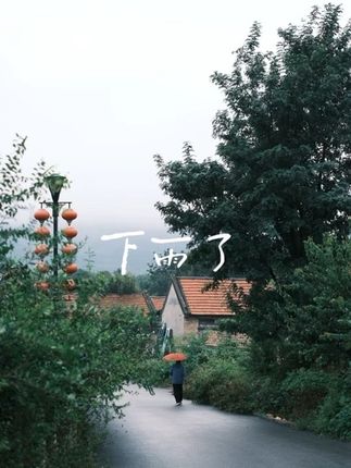下雨了 ,一切都在变好;祝你快乐,找到自己。 #治愈 #烟雨 #茶 #喝茶 #回归自然
