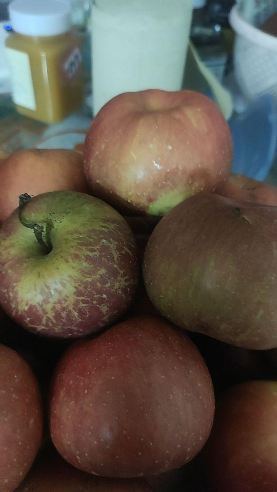 上当受骗了,我拍的是大果,给我发的小果又酸又涩,很难吃,一个都吃不完。#我在抖音买买买