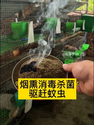 兔舍烟熏消毒杀菌 芳草烟熏王,驱蚊消毒杀菌 #兔子 #三农养殖 #农村创业养殖 #动物 #养殖人
