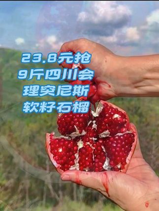 23.8元抢9斤四川会理突尼斯软籽石榴#要点视频左下角小黄车下单