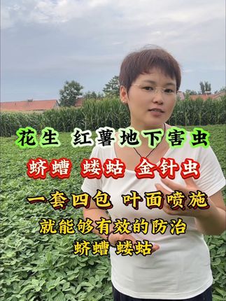 #地下害虫 蝼蛄 蛴螬 地老虎 金针虫,怎样防治,叶面喷施,干净彻底 不伤作物不伤根,地下害虫防治专用配方#三农种植#虫害防治 #农业知识分享
