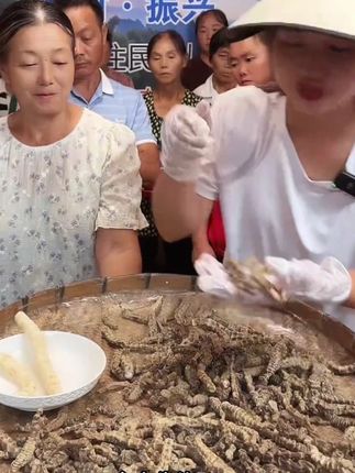 云南虫草参地参干货白虫草竹节参草石蚕煲汤泡酒#干货 #山货 #口感非常好 #农产品 #特色农产品