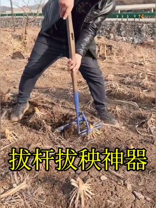 新款拔杆拔秧器 木薯茄子棉花玉米拔杆器辣椒起杆器人工除草神器#拔杆神器 #三农#农业种植#高性能实用工具