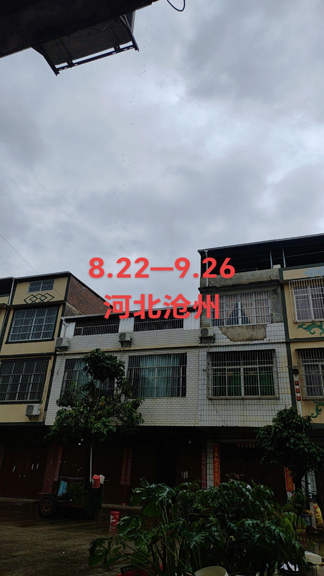 #你看到了什么