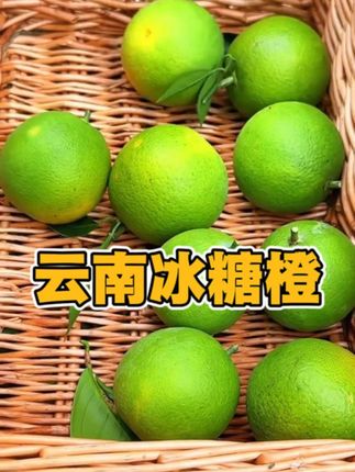 云南青皮冰糖橙 口感很好 #冰糖橙 #新鲜采摘 #水果 #快来一起尝个鲜 #橙子