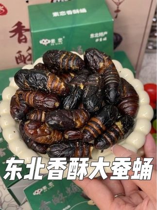 没吃过我们东北香酥大蚕蛹的,真不算吃过我们特色美食!一口一个根本停不下来#强烈推荐 #香酥蚕蛹