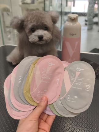 带狗狗去宠物店我都带着便携装沐浴露,在家里就用正装😉#沐森堂#狗狗洗澡#洗护好物 #宠物沐浴露 #狗狗沐浴露