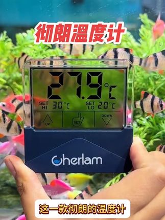 想随时掌握鱼缸温度?这款彻朗液晶温度计是个不错的选择~#观赏鱼 #水族造景 #温度计 #养鱼人 #鱼缸温度