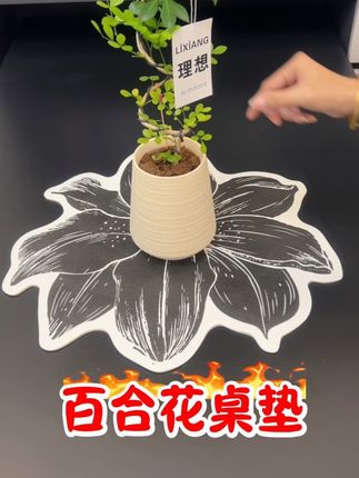 百合花沥水桌垫,既可以装饰,也可以作为沥水垫隔热垫,一垫多用!餐桌有了他高级感瞬间拉满#轻奢桌垫 #桌垫推荐 #高级感桌垫 #家居好物