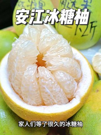 等了很久的安江冰糖柚有货了!#解锁柚子的隐藏吃法 #应季水果 #安江冰糖柚