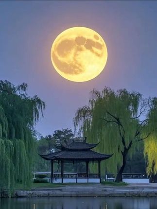 #红楼梦 #曹雪芹 #癸酉本红楼梦