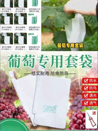 白色全木浆葡萄套袋葡萄袋葡萄果袋防虫袋防水防虫防鸟套袋铁丝气孔套袋#葡萄套袋#葡萄袋#防虫防鸟套袋#果蔬套袋#瓜果套袋