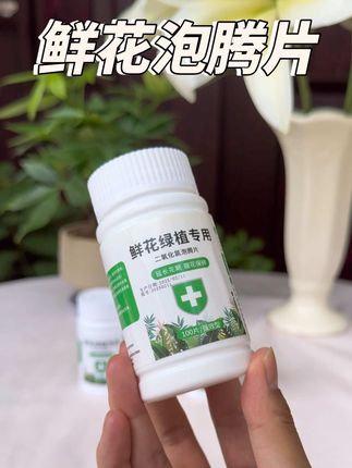 鲜花收到后先不要着急插瓶,往清水里面放上半片鲜花专用84泡腾片,它可以预防水臭,还能延长花期,防止鲜花烂根。它是很多花店都在用的养花好帮手,有了它鲜花能养十天半个月以上都照样新鲜,和刚摘的一样。如果你也喜欢养花或者经常网购鲜花的,一定要备上一些。#鲜花泡腾片 #鲜花养护 #养花小知识 #醒花 #好看的花一定要分享给你