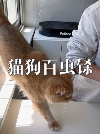 有毛孩子用这特别合适 #养猫新手 #猫咪驱虫 #狗狗驱虫 #科学养宠攻略