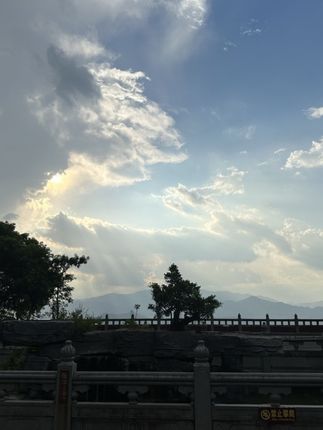 枕套一对装加大48x74亲肤轻奢单双人学生家用成人情侣枕套