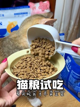 没有一只小猫能够拒绝100%鲜肉含量的烘焙猫粮#养猫新手 #宠物vlog #简单又营养 #海洋之星鲜肉烘焙粮