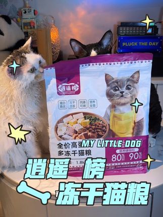 冻干超多的高蛋白粮,现在买一送一,这个羊毛赶快薅#猫粮推荐 #新手养猫 #冻干猫粮