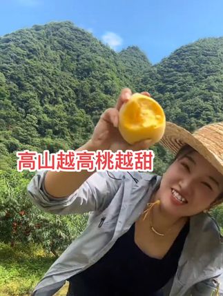 山有多高,黄桃有多甜,攸县黄桃提前预定顺丰包邮 #点击小黄车直接购买 #农家黄桃