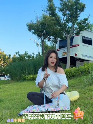 夏天去海边🏝️#宠物四季垫