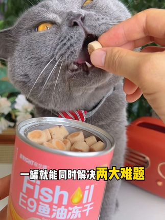 布兰德热乎的新品!E9鱼油冻干,还重点添加辅酶Q10,酥酥脆脆嘎嘎爱吃#布兰德 #鱼油冻干 #新手养猫