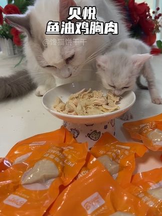 9块9到手13包鱼油鸡胸肉,吃的我家猫长肉发腮身体壮壮#萌宠好物 #宠物鸡胸肉 #新手养猫 @DOU+小助手