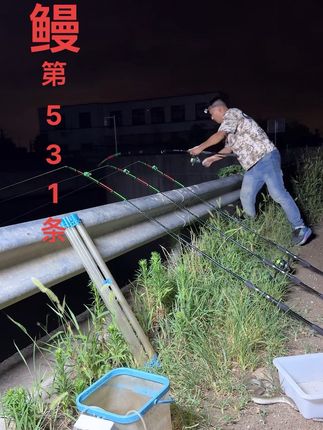 鳗鱼满天飞。#天福岸筏 #天福岸筏鳗鱼