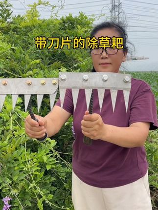 #除草耙 #带刀片的除草耙 锋利耐用,除草迅速#抖音助农