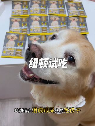赶紧来薅纽顿的狗粮试吃#纽顿 #纽顿t28 #纽顿进口狗粮 #T28狗粮 #狗粮试吃