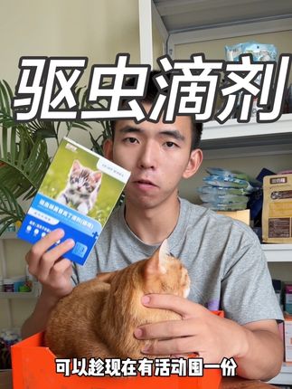 这就是不给猫咪驱虫的后果,养猫的家长一定要看完#萌宠好物 #科学养宠攻略 #新手养猫