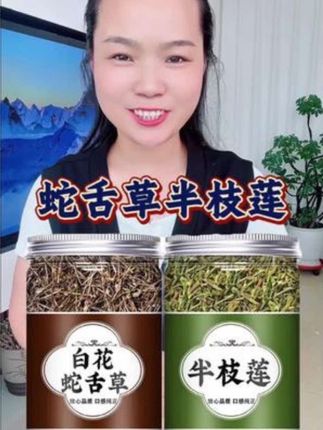 #科普 #蛇舌草 #半枝莲 #半枝莲白花蛇舌草 #好物推荐🔥
