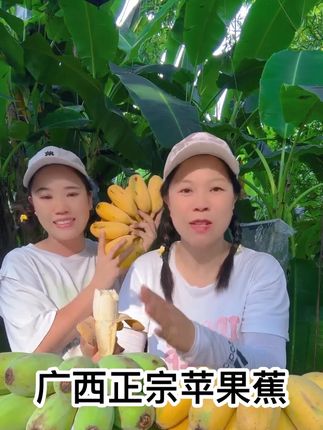 #广西苹果蕉#纯甜#自然成熟#果园直发新鲜到家 #广西水果自由 广西正宗苹果蕉香甜软糯优质农产品。